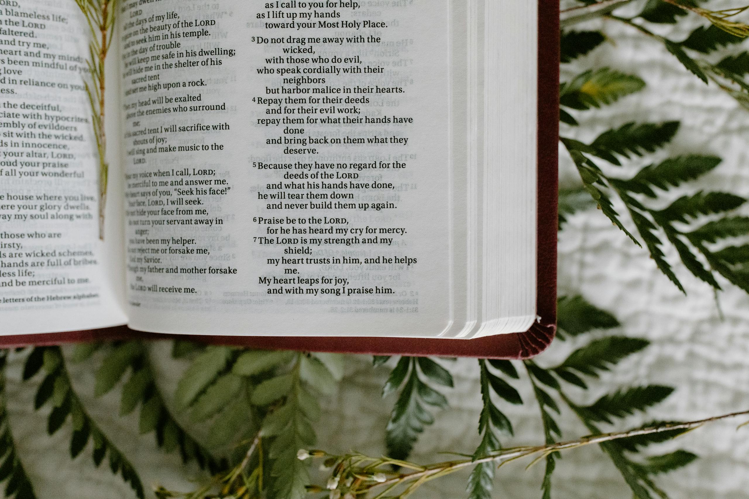 An open Bible resting on ferns, featuring scripture text. Perfect for religious themes.